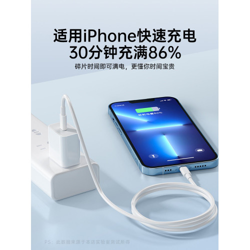 BS蘋果數據線手機充電器