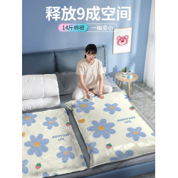 抽氣真空壓縮袋棉被專用收納電泵