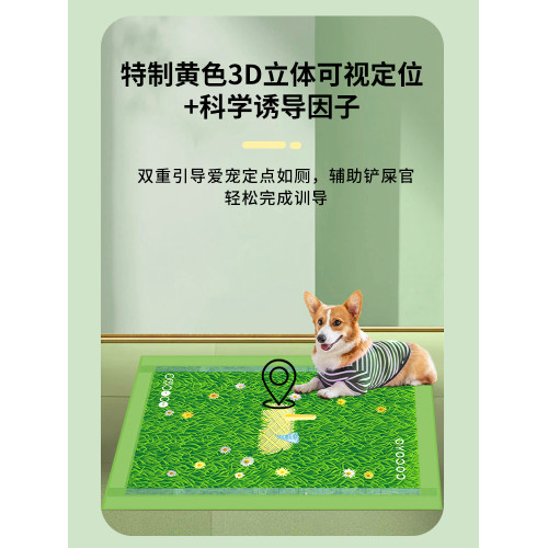 Cocoyo整箱超大尺寸狗狗