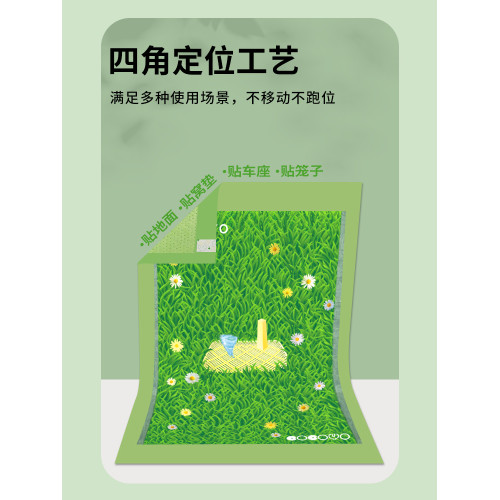 Cocoyo整箱超大尺寸狗狗