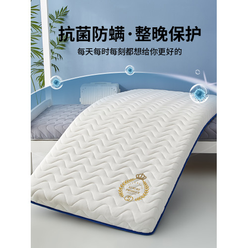 乳膠床墊軟墊家用臥室床褥墊子1租房專用1.2學生宿捨單人90x190cm