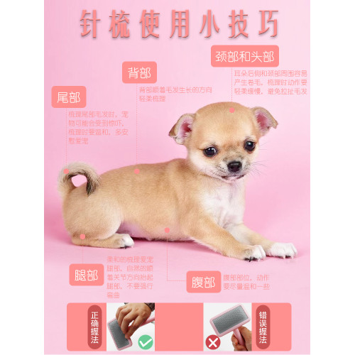 台灣Taa寵物美容針梳狗狗貓咪軟氣墊除毛刷泰迪蓬松 精霛梳子拉毛