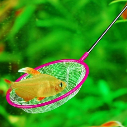 魚缸撈魚網兜金魚撈網魚網抄網手抄網超密觀賞魚撈密網小號小型