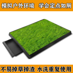 可清洗倣真草坪訓練上厠所寵物狗