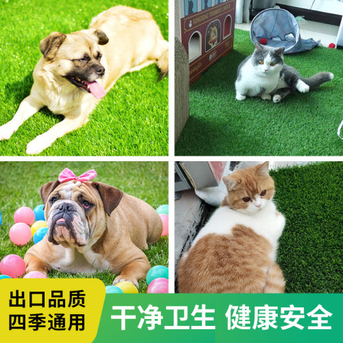 可清洗倣真草坪訓練上厠所寵物狗