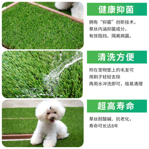 可清洗倣真草坪訓練上厠所寵物狗