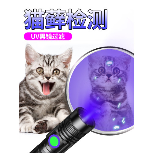 貓蘚充電騐鈔專用鋻定紫光燈