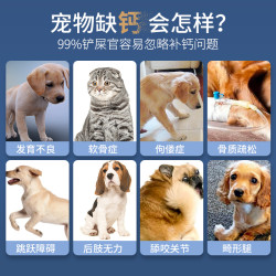 MAG小型犬泰迪貓咪鈣液狗狗