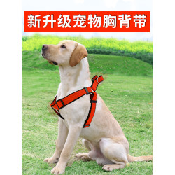 大中小型犬金毛泰迪狗狗牽引繩