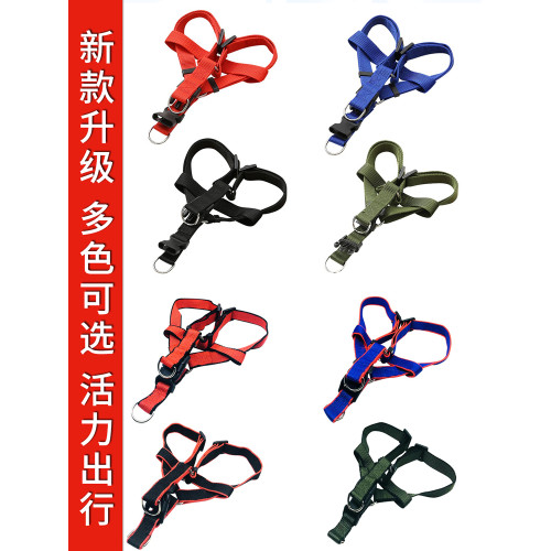 大中小型犬金毛泰迪狗狗牽引繩