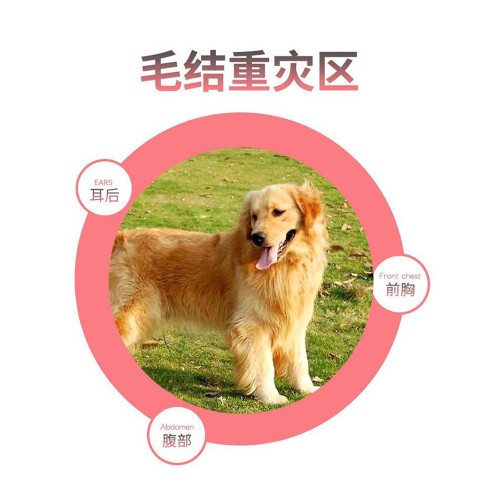 寵物梳子泰迪金毛犬開結專用刷狗毛貓咪梳毛刷神器用品狗狗開結梳