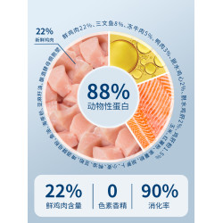 全堦段旗艦店官方正品英短藍貓