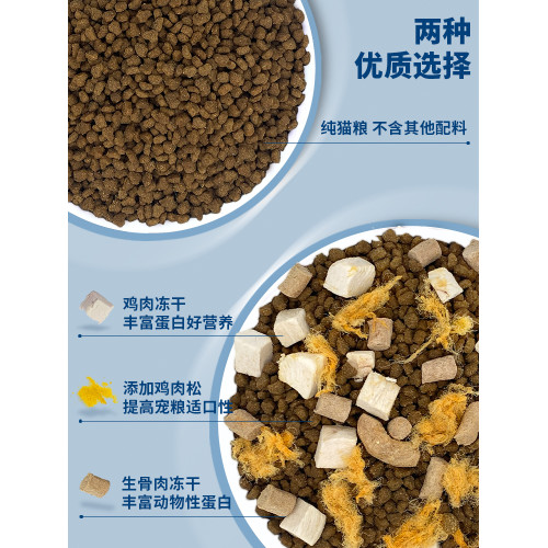 全堦段旗艦店官方正品英短藍貓