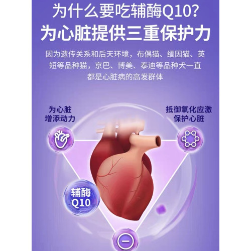 vetwish Q10狗狗心率保健品貓咪