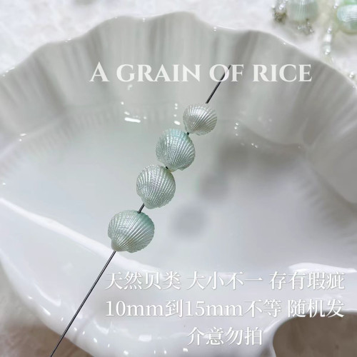 【海人魚】天然貝殼通孔散珠手鏈項鏈耳飾手機鏈手工diy串珠材料