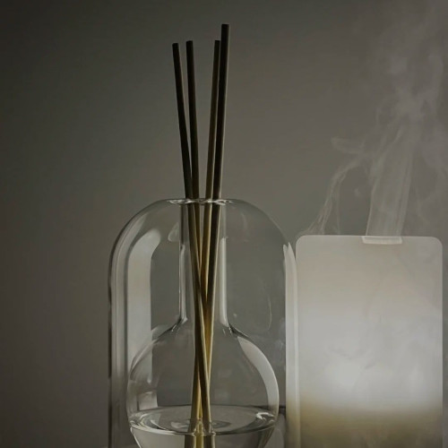 小紅書同款印玻璃香薰瓶擴香瓶室內透明無火香薰藤條香氛空瓶批發