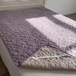 Daily Order Export Super Soft and Short Plush Mattress Bedspread Single Piece Fall and Winter Heattech Quilted Quilted Bed Sheet Mattress Protective Pad