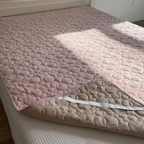 Daily Order Export Super Soft and Short Plush Mattress Bedspread Single Piece Fall and Winter Heattech Quilted Quilted Bed Sheet Mattress Protective Pad