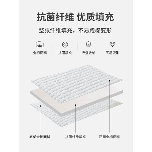 Roland Home Textile Class a Double-Sided Pure Cotton Antibacterial Mattress Protective Pad For Home Washable Thin Mattress Soft Cushion Non-Slip Mat Quilt