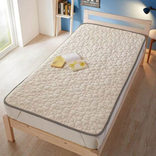 Fall and Winter Heattech Export Tail Single Velvet Mattress Bedspread Single Quilted Quilted Bed Sheet Soft Not Cool Mattress Protective Pad