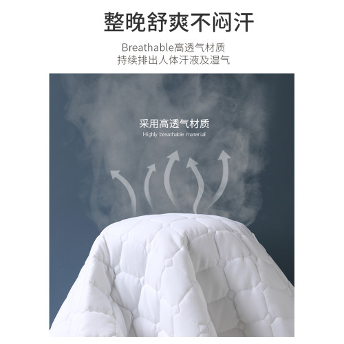 Hotel Mattress Protective Pad Dirt-Proof Hotel Special Washable Non-Slip Mat Cleaning Mat Mattress Simmons Soft Cushion Quilt