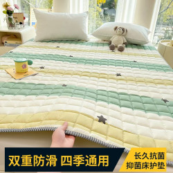 Cotton Anti-Mite Mattress Cushion Home Bed Cotton-Padded Mattress All Year Round Neutral Cushion Dormitory Rental Non-Slip Mattress Protective Pad