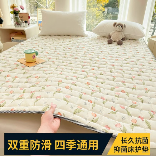 Cotton Anti-Mite Mattress Cushion Home Bed Cotton-Padded Mattress All Year Round Neutral Cushion Dormitory Rental Non-Slip Mattress Protective Pad