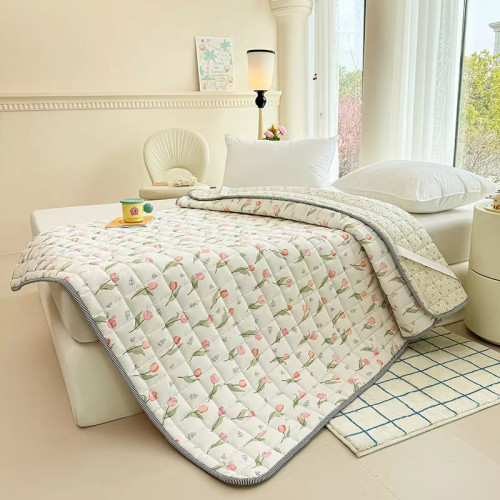 Cotton Anti-Mite Mattress Cushion Home Bed Cotton-Padded Mattress All Year Round Neutral Cushion Dormitory Rental Non-Slip Mattress Protective Pad