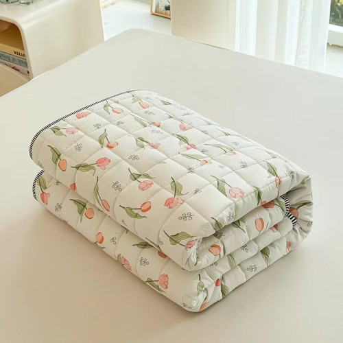 Cotton Anti-Mite Mattress Cushion Home Bed Cotton-Padded Mattress All Year Round Neutral Cushion Dormitory Rental Non-Slip Mattress Protective Pad