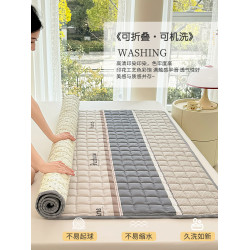 Cushion Antibacterial Non-Slip Mattress Cushion Simmons Mattress Protective Pad Antibacterial Mattress Mattress