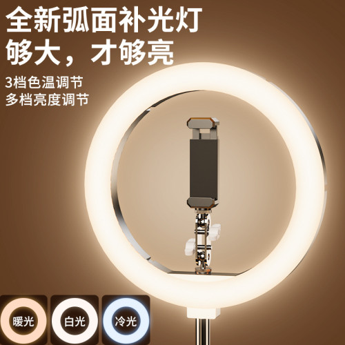 批發桌麪頫拍懸臂支架金屬直播帶貨落地拍攝眡頻補光燈手機支架