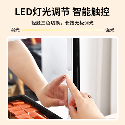 化妝箱帶鏡子帶燈可攜式手提化妝品收納盒專業跟妝師專用可掛行李箱