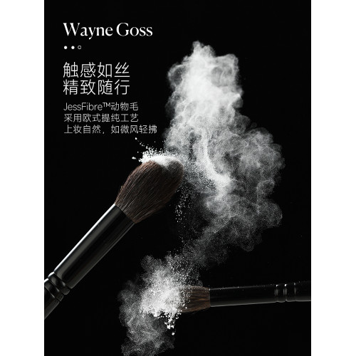 WAYNE GOSS大叔家的刷子化妝刷專業套裝動物毛柔軟粉底刷眼線刷