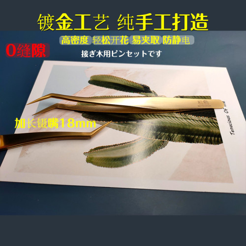 松島開花美睫鑷子高精度睫毛嫁接專用工具金羽夾海豚夾直日式長嘴