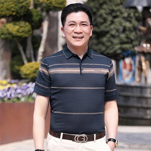 中老年男裝爸爸t恤夏季半袖翻領冰絲男士T恤寬松短袖體恤男t恤