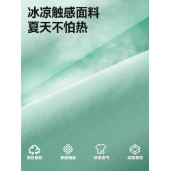 唐獅短袖男t恤2025新款夏季簡約百搭日常美式體恤冰絲透氣汗衫薄