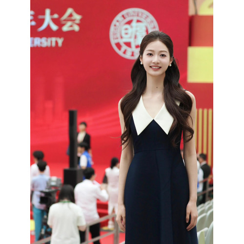 馮琳同款藏青色連衣裙輕奢女裝高級感V領無袖背心收腰顯瘦長裙夏