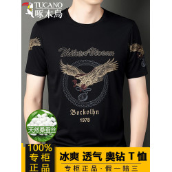 啄木鳥男T恤短袖夏季新款冰絲透氣奧鑽半袖汗衫爸爸圓領寬松上衣