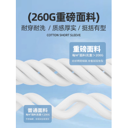 唐獅短袖男t恤2025新款夏季美式寬松五分袖設計感重磅純棉體恤衫