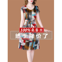 真絲桑蠶絲連衣裙女2025新款夏女裝小個子中老年媽媽收腰顯瘦裙子