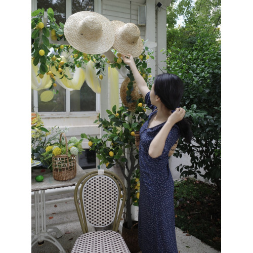 DaisyLife  | 法式經典jue佳版型 真絲印花連衣裙