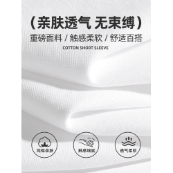 唐獅短袖男t恤2025新款夏季簡約美式ins時尚半袖純棉透氣寬松體恤