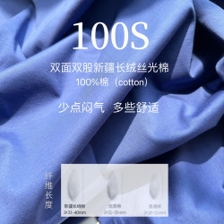 輕奢100支雙面絲光棉短袖男t恤2025新款夏季寬松圓領純棉半袖男裝