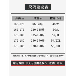 申本中老年男裝長袖夏季新款基礎V領上衣男t恤爸爸純棉打底衫秋衣