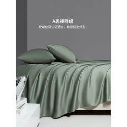 高級A類100支埃及長絨棉貢緞床單單件純棉全棉雙人床笠被單三件套