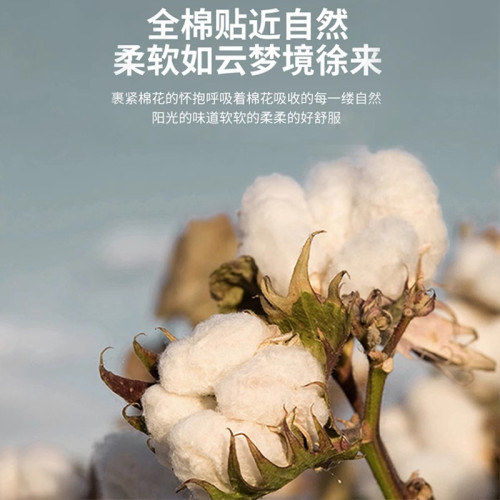 高檔輕奢夏季床單單件純棉100全棉宿舍單雙人被單枕套床罩三件套