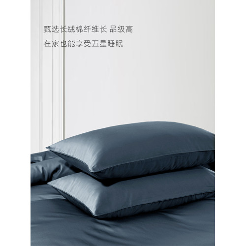高級五星酒店款220支全棉床單貢緞加厚長絨棉純棉床單單件100棉床