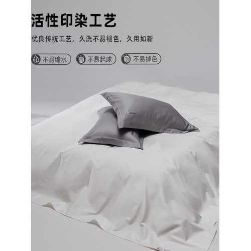 高級五星級酒店100支新疆長絨棉床單純棉新款簡約單雙人純色坑單