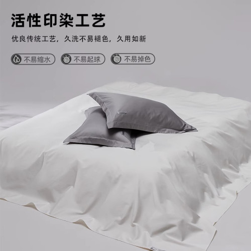 高級五星級酒店100支新疆長絨棉床單純棉單件簡約單雙人純色床品