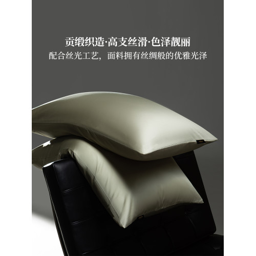 正宗100支雙股長絨棉枕套一對裝全棉純棉家用單人枕頭套48cmx74cm